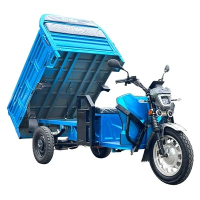 Factory Direct Mini Cargo Electric Trehycle Electric Trehycle Food Tuk TUK Billig Electric Tricycle Charger 72V